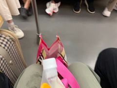 -奥体中心(地铁站)
