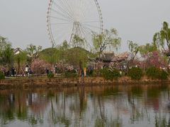 -无锡蠡湖国家湿地公园-蠡园