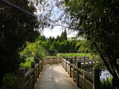 -贵阳市花溪国家城市湿地公园