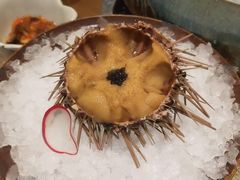-蟹将军·松叶蟹和牛日料放题自助(K11店)