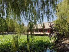 -莲池书院博物馆