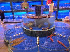 -金悦轩海鲜酒家(拱北店)
