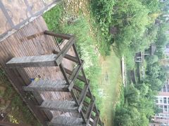 黔蘑菇四季餐厅(观山湖店)-黔蘑菇四季餐厅(观山湖店)