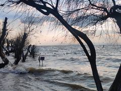 -捞渔河湿地公园