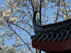 -堤角公园