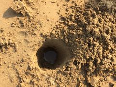 -普陀山风景名胜区-千步大沙