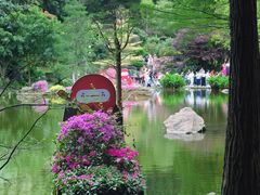 -深圳仙湖植物园