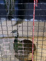 -酷嗒动物文化乐园(cutezoo西溪乐天城店)