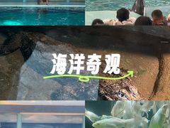 -南昌动物园