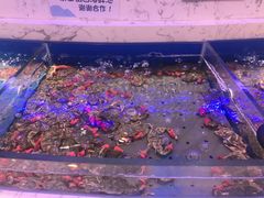 -澜悦港海鲜体验主题餐厅