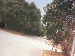 -胜华驾校·小猫学车(银都店)