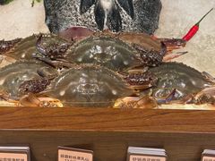 -金海华·四季时堂·第一食堂(现代传媒广场店)