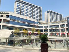 -浦江城市生活广场(江月路店)