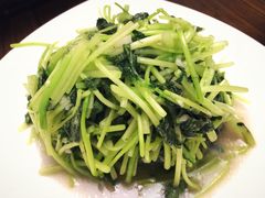 -乔家栅(襄阳南路店)