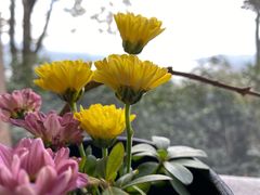 -天目湖涵田度假村