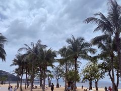 -大梅沙海滨公园