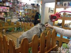 -宠物兔专门店(天丰利市场店)