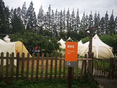 -前小桔亲子创意农场·草莓采摘·露营烧烤