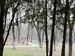 -绿堤公园