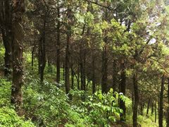 -青州市云门山风景区