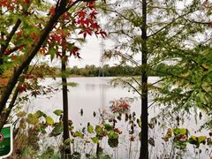 -昆山城市生态森林公园