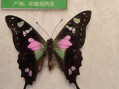-天津市动物园