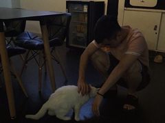 -Doors独立剧情密室(东门分店)