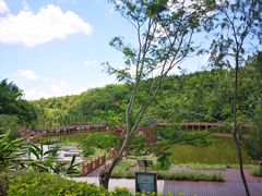 -神光山国家森林公园