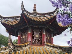 -翠湖公园