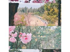 -云南野生动物园
