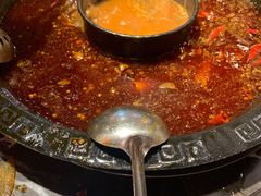 -渝大狮毛肚老火锅(遂宁万达店)
