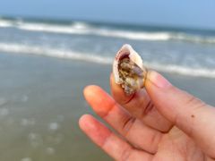 -东海岛旅游度假区