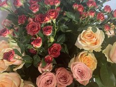 -麦当劳(展览路店)