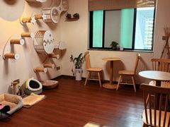 -楼上猫咖(罗湖店)