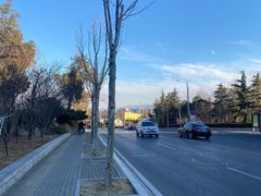 -泰山风景名胜区-虎山公园