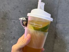 -introlemons(西单更新场·北京首店)