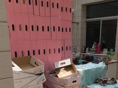 -老袁家蜜桃农场·阳山水蜜桃