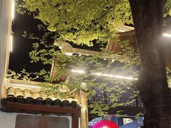 -南京市民俗博物馆(甘熙故居)