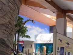 -延庆地质公园博物馆