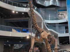 -辽宁古生物博物馆