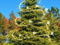 -羊亭河湿地公园