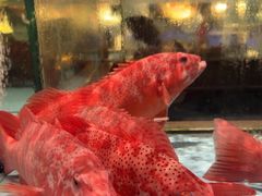 -阿伟海鲜楼·福建菜(延寿店)