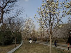 -奥林匹克森林公园南门-停车场