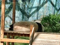 -鄂尔多斯野生动物园