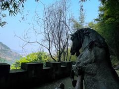 -铁山坪森林公园