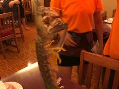 -Red Lobster