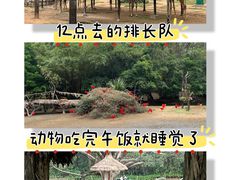 -广州长隆野生动物世界