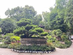 -成都杜甫草堂博物馆