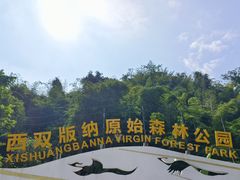 -西双版纳原始森林公园