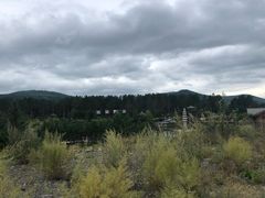 -北极村旅游风景区